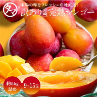 【送料無料】お得な訳あり宮崎完熟マンゴーメガ盛り5kg詰め（訳あり）正規品より安くで味わえるギフト外…