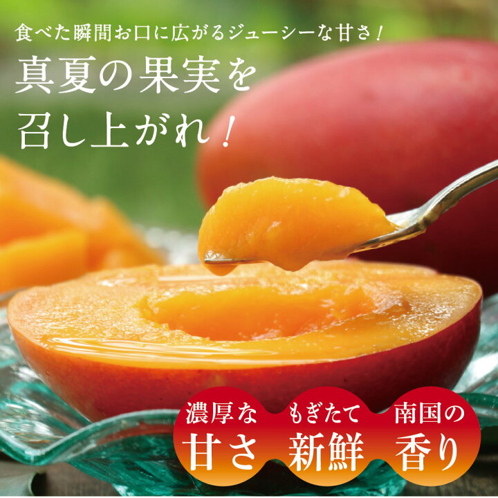 楽天市場】【送料無料】宮崎完熟マンゴー中玉10玉入り宮崎からお届け  