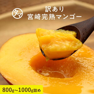 【2セット以上で送料無料】スマステーション紹介!お得な訳あり宮崎完熟マンゴー味わえる惜しくもギフト外の訳あり宮崎完熟マンゴーどっしり800〜1000g詰め見た目ちょいわるでも味は絶品!もったいない 食品ロス 訳あり 在庫