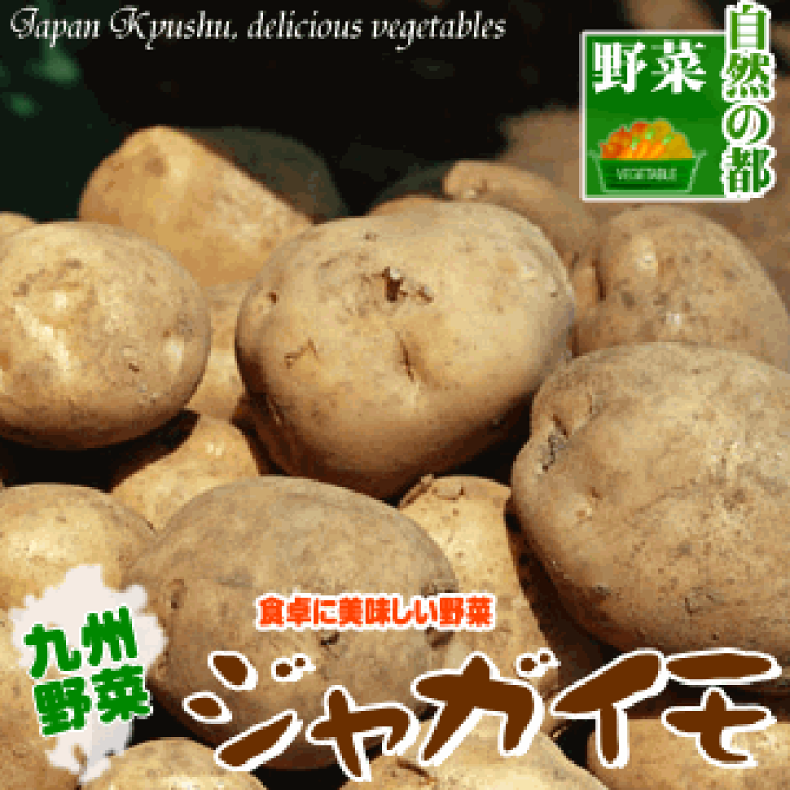 楽天市場】【野菜 九州】九州産じゃがいも煮物にしたりコロッケなどの