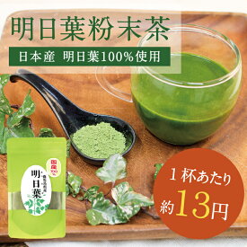 【送料無料】九州産 明日葉パウダー500g (100g×5袋)自然豊かな大地で育った明日葉はカルコン豊富な女性に大人気！明日葉粉末 無添加|明日葉茶/アシタバ/あしたば茶/パウダー/青汁/国産