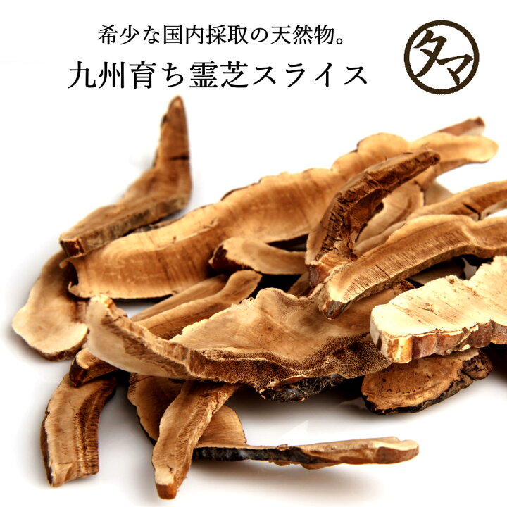 楽天市場】霊芝(れいし) スライス100g希少な九州育ちの天然霊芝幻の 
