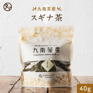 yzYXMiiȒj40gJVEق񑐂̖155{|N  N NHi  v[g Mtg e RHi ehN Rh  e R