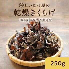 ＼ぷりっぷりの食感がたまらない／きくらげ タマチャンの無農薬・国産きくらげ250g 送料無料 九州育ち約2.5kgの生きくらげを使用