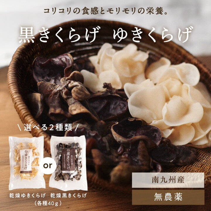 楽天市場】＼ぷりっぷり食感がたまらない国産キクラゲ／ きくらげ 九州 