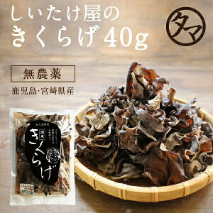 炰 ՂՂRRIBY ^}`̖_򊣑LNQ B̍LȑnňAϊ󏭂ȍY炰| Ɩp ؎  ͔| ώ  LNQ Y NH