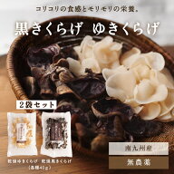 きくらげ ぷりぷり！コリコリ！タマチャンの無農薬乾燥キクラゲお試しセット 黒キクラゲ40g+白キクラゲ40…