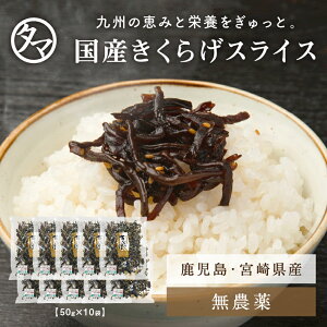炰 ^}`̖_EYLNQ50g×10܃Zbg(XCX)@| Ɩp p BY YH ؎ ؋B zeEE[Xp e ͔| ώ  LN