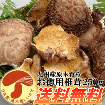 K♦1059 しーたけ　九州送料込み 楽天市場】九州産 干ししいたけの通販