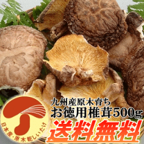 楽天市場】九州産 干ししいたけの通販