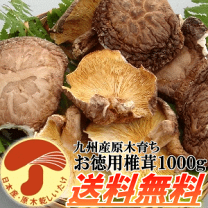 楽天市場】九州産 干ししいたけの通販