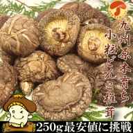 九州産小粒どんこ椎茸250g24ヶ月の歳月をかけた里山の恵み自然の山々が育てた香り・風味・旨味をお届け致…