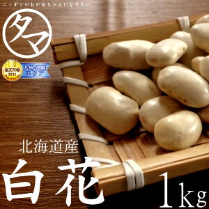 yzkCY ԓ 1kg ߘa6NYk̑nň܂ꂽPȈgԓhzbNzN̐Hŏ㎿ȊÂ̂铤łBY Y ԓMade in japan natural White beans|N