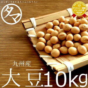 yzBY哤 10kgiߘa5NxY _CYjbƖp p zep Cxgp 哤 哤̉h{ Y 哤  GNI[ 񂹃O veCt[h GVJt[h