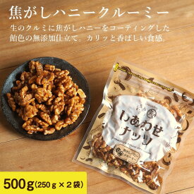 クルミのタマチャンオリジナルおやつ 焦がしハニークルミ 500g（250g×2袋） | 送料無料　スイーツ 胡桃 おやつ お菓子 無添加 くるみ お取り寄せグルメ お取り寄せスイーツ プロテインフード おつまみ おつまみセット おやつ おやつセット