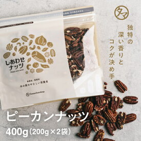 【送料無料】素焼きピーカンナッツ 400g（200g×2袋）(無添加 無塩 ロースト 素焼き)クルミのような食感と独特の深い香りとコクが決め手の人気ピーカンナッツ｜ぴーかん ナッツ 食品 健康食品 おやつ スイーツ オメガ脂肪酸 オレイン酸 SNUTS おつまみ