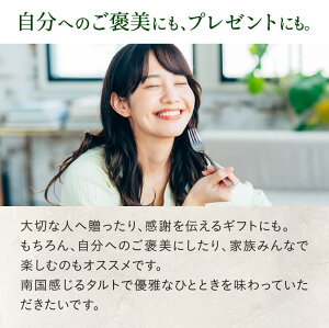 フルーツタルト『しあわせ南国タルト』【送料無料】ヘルシーフードマイスター渾身!素材にこだわり、フルーツをたっぷり使用した、健康・美容に嬉しいケーキ|マンゴーパッションフルーツへべすトロピカルロースイーツ砂糖不使用スイーツケーキプロテインフード