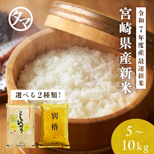 yz{茧YЂ {茧YAL_ (5kg 10kg)ߘa7NY-10kgRVqJŜẲRVqJƃAL_܂̃fUCςꍇ