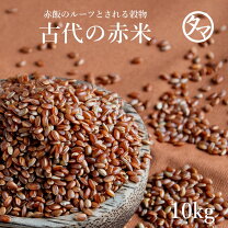 楽天市場】赤米 無農薬の通販