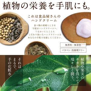 手粧水