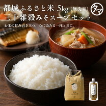楽天市場】お米 ギフト 2合（総重量（穀物）5.0 ～ 5.9kg）の通販