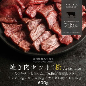 Dr.Beef ē4Zbg v600gi^150gA[X150gAJr150gA150gj{Y OXtFbhr[t hN^[r[t Dr.r[t јa Ԑg Ԑg  h{Lx ς J