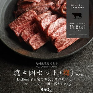 Dr.Beef ē2Zbg v350gi[X150gA؂藎Ƃ200gjhN^[r[t Dr.r[t {YOXtFbhr[t јa OXtFbhr[t Ԑg Ԑg  h{Lx ς 