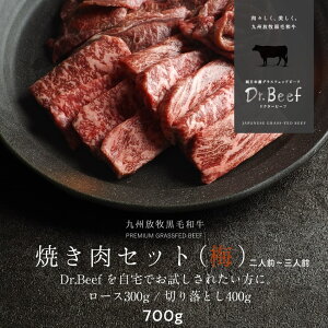 Dr.Beef ē2Zbg v700gi[X150g×2A؂藎Ƃ200g×2jhN^[r[t Dr.r[t {YOXtFbhr[t јa OXtFbhr[t Ԑg Ԑg  h{Lx 