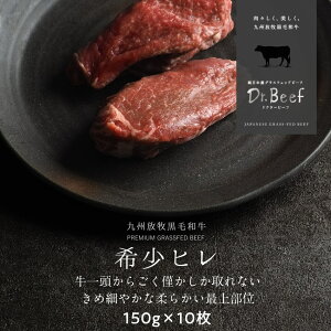 Dr.Beef qXe[L v1.5kg 150g×10 hN^[r[t Dr.r[t {YOXtFbhr[t јa OXtFbhr[t Ԑg Ԑg  h{Lx ς J[ Ε 