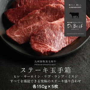 Dr.Beef Xe[Lʎ蔠 v750g (q150gAT[C150gAu[X150gAv150gA~XW150g) hN^[r[t Dr.r[t {Y OXtFbhr[t јa Ԑg Ԑg  h{L