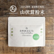 【送料無料】山伏茸粉末(60g)考える力の栄養源として認められたヤマブシタケには、このきのこしか持たな…