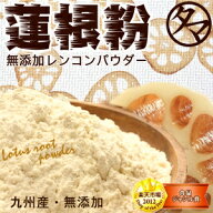 送料無料 蓮根粉 (れんこんパウダー)　70g無添加・九州産の蓮根の粉末生で約1kg分の蓮根を乾燥凝縮粉末し…