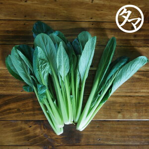 九州産:小松菜(こまつな)1束|九州 野菜 ベジタブル サラダ 食材タマチャンショップ九州産地直送※冷凍商品との同梱不可 野菜
