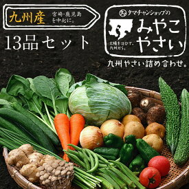 【送料無料】九州野菜セット　花切り大根プレゼント宮崎野菜13品ベストセレクション九州の美味しい野菜をタマチャンショップが選りすぐりでたっぷり13品詰めてお届け！｜野菜セット 九州産 野菜 詰め合わせ 夏 ギフト やさいセット お取り寄せグルメ 送料込