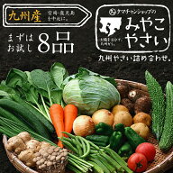 【送料無料】九州野菜ミニミニお試しセット宮崎県の農家採れたて野菜8品でお届け宮崎で摂れた美味しい野…
