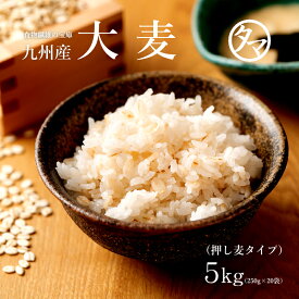 ＼話題の大麦／九州産 大麦(押し麦) 5kg（250g×20袋） 送料無料食物繊維が豊富βグルカン 水溶性食物繊維 カズレーザーと学ぶ テレビ TV 放送 水溶性食物繊維 新やせ菌 ブラウティア・ウェクセレラエ オオムギ おおむぎ 胚芽押し麦 押麦