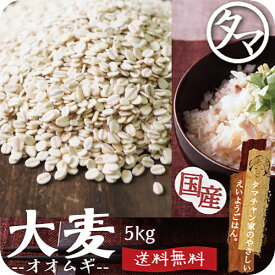 【送料無料】九州産 大麦(押し麦) 5kg食べる食物繊維・大麦βグルカンの宝庫な食材。注目される第6の栄養素とされる食物繊維を豊富に含んだ食材。炊飯や料理にお使い頂けます。【オオムギ おおむぎ】【胚芽押し麦】【押麦】