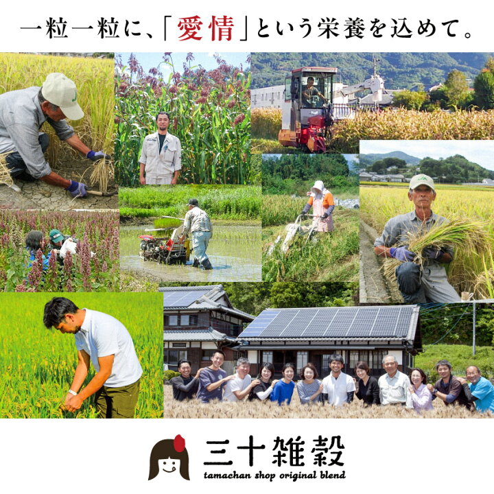 七夕SALE＼レビュー高評価4.48＆選ばれて満足度No.1／国産雑穀米「三十雑穀」タマチャンショップの30雑穀米送料無料1日30品目の栄養を実現白米と一緒に炊くだけでもちぷち美味しい栄養ごはん三十雑穀米国産1000円ポッキリ備蓄米ギフトお買い物マラソン