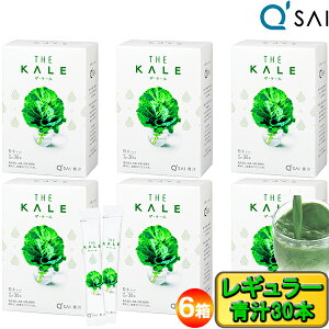 L[TC ` P[ XeBbN^Cv 7g×30{ 6܂Ƃߔ P[`  ` P[` h{⏕Hi  NHi N  N W[X pE_[ 