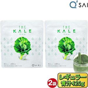 L[TC ` P[ 420g  2܂܂Ƃߔ P[`  ` P[100 h{⏕Hi X[p[t[h NHi N  N W[X pE_[ W