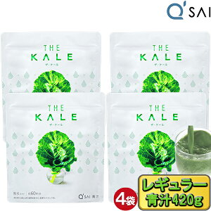 L[TC ` P[  420g 4܂܂Ƃߔ P[` W[X R͔| ؕs ؃W[X `  ` h{⏕Hi  X[p[t[h NHi N