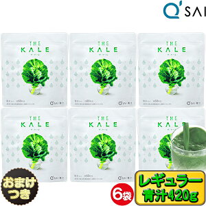 L[TC ` P[  420g 6܂܂Ƃߔ{܂t Y N `  N NhN ` aojiru ` L@` P[ H@ h{⏕Hi X