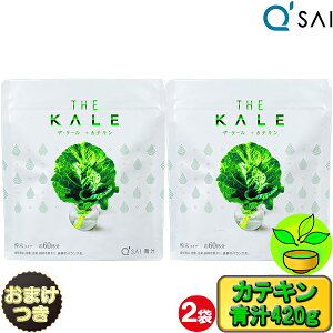 L[TC ` JeL  P[` 100% 420g2܂܂Ƃߔ{܂ Tvg Y L@  h{⏕Hi R_ NHi  W[X pE_[ LETC NhN 