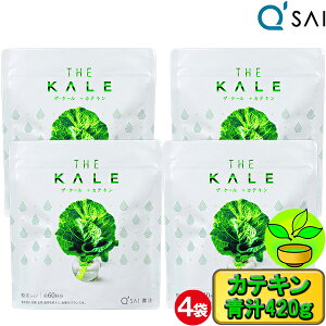 yP5{+23OFFz ` L[TC P[` JeL 420g  4܂܂Ƃߔ P[` W[X  h{⏕Hi X[p[t[h NHi N pE_[ Nh