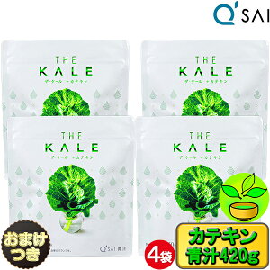 yP5{+23OFFz L[TC ` P[  JeL Y 420g 4܂܂Ƃߔ{܂t N `  NhN aojiru N ` P[ H@ h{⏕Hi W[X 