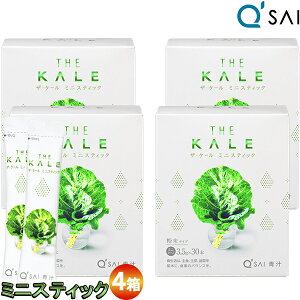 L[TC ` P[ ~jXeBbN3.5g×30{ 4܂Ƃߔ N ` NhN   ` P[` h{⏕Hi NHi N  N W[X p