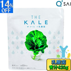 yP5{+14OFFz L[TC `  P[` _ 420g 1 NHi yV W̌N` P[100 rtBYX W[X ؃W[X ` NW[X Pʋ pE_[ X[p