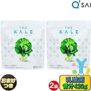 L[TC `  P[` + _ 420g  Y 2܂܂Ƃߔ{܂ L@ X[p[t[h P[100 W[X NhN  q h{⏕Hi  N W[X 