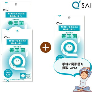 yԌ̔z L[TC Pʋ 14{2܍w1ܑʃv[g2{1 _ Tvg Pʋ Tv   Tvg LEq_ Tv _ۈ pE_[ 