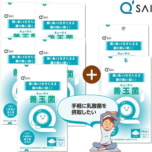 yԌ̔z L[TC Pʋ 14{5܍w2ܑʃv[g5{2 _ Tvg Pʋ Tv   Tvg LEq_ Tv _ۈ pE_[ 